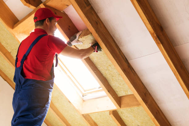 Best Insulation for New Construction  in Avondale, LA